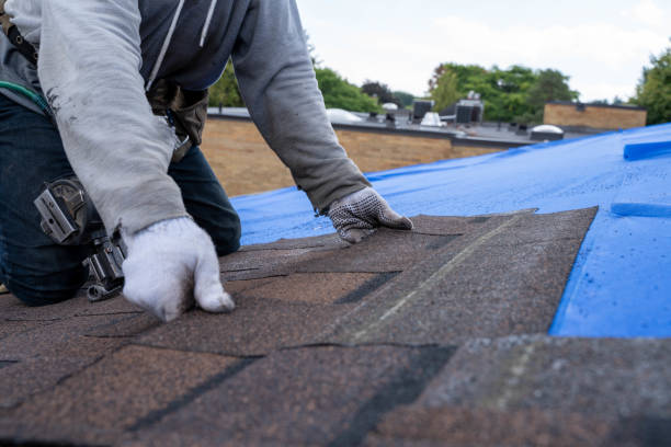 Best Residential Roofing Contractor  in Dodge City, KS