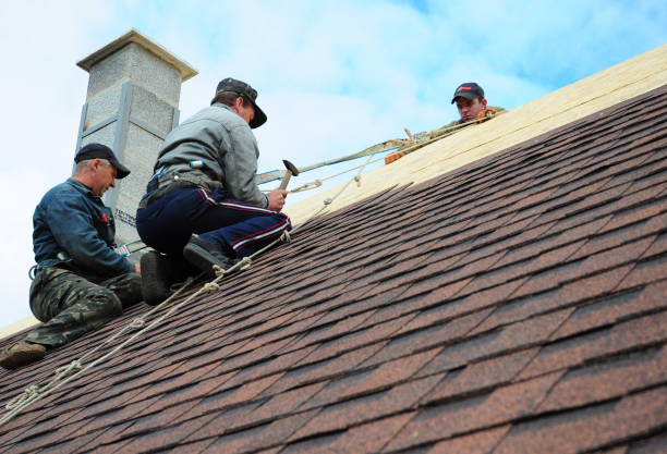 Best Roof Maintenance Services  in Dodge City, KS